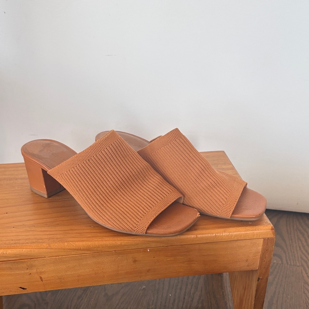 Everlane Brown Block Heel Mules